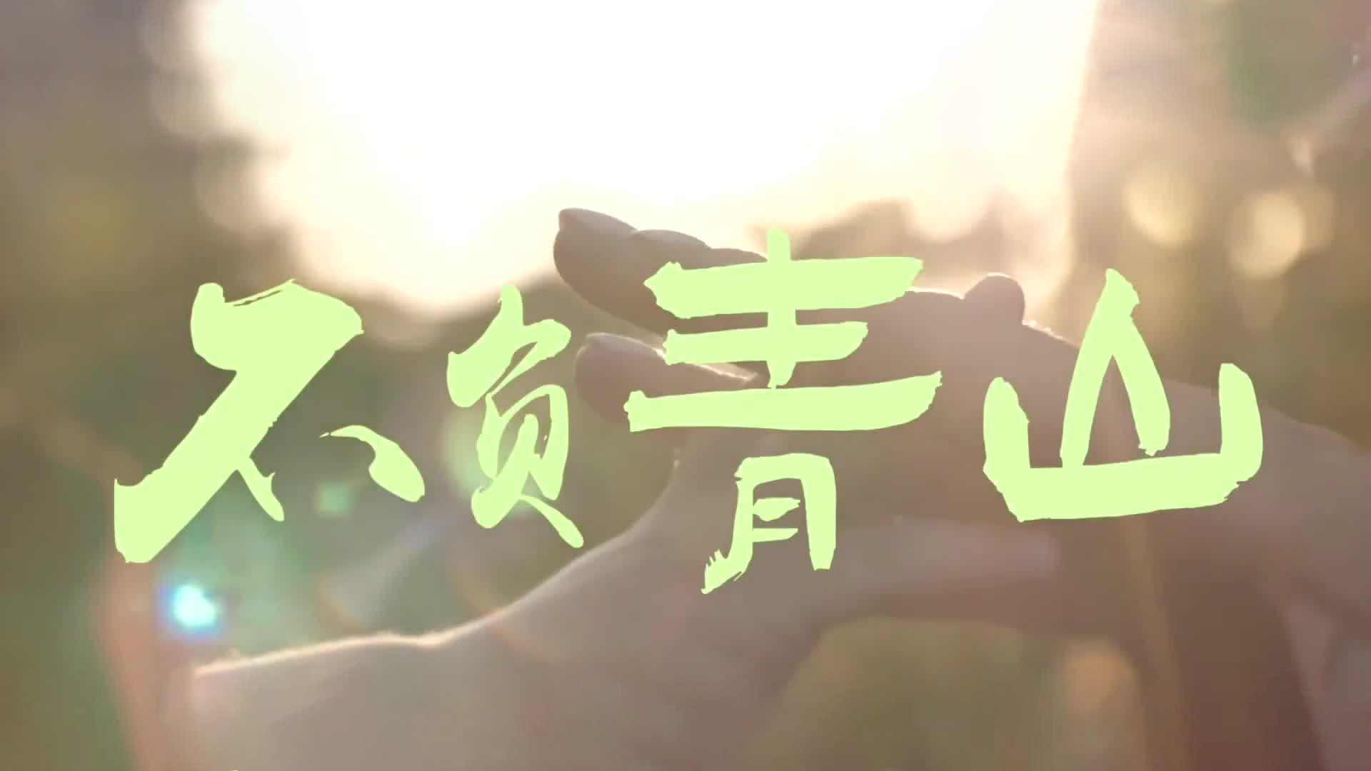 不负青山