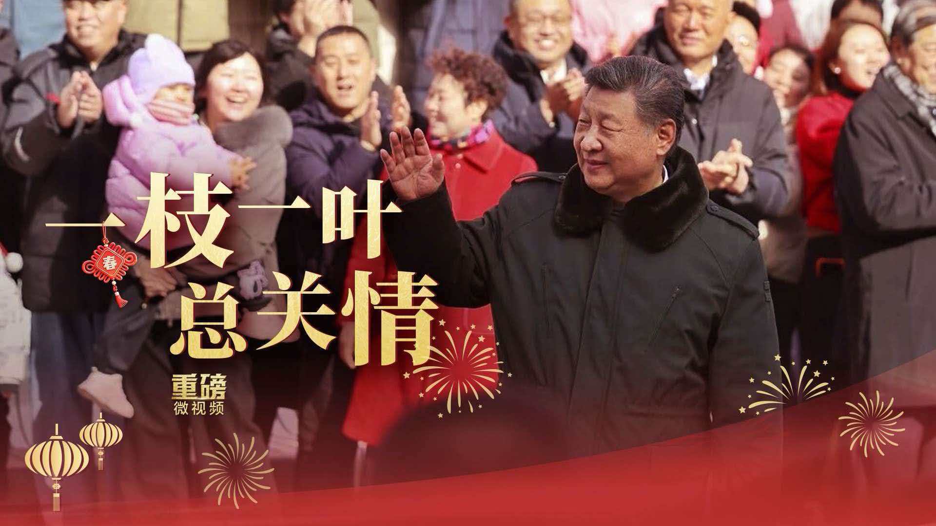 一枝一叶总关情