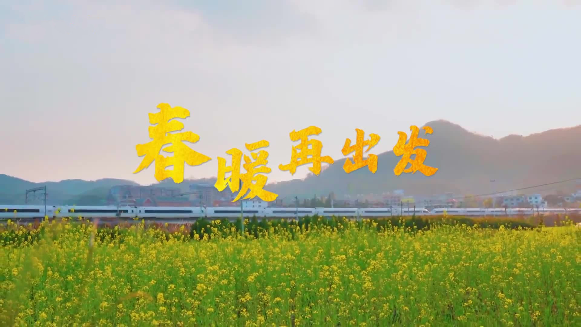 这条曲线，跨越两个春天