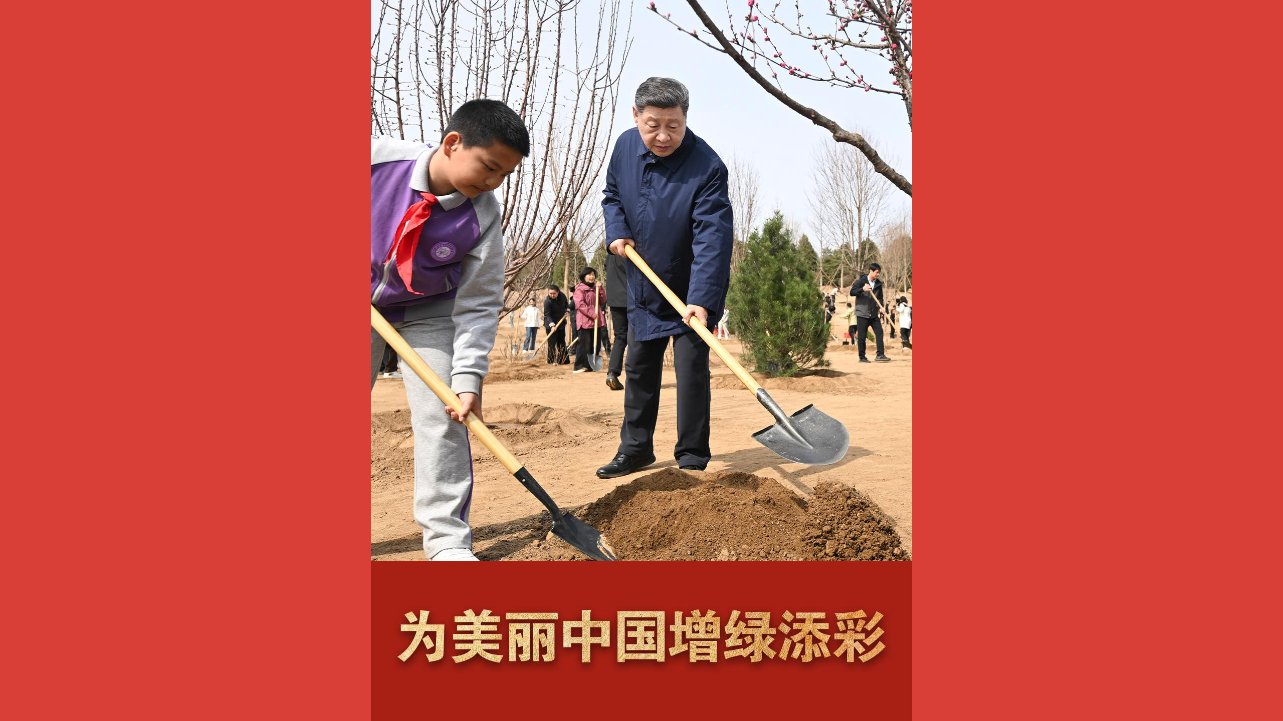 为美丽中国增绿添彩