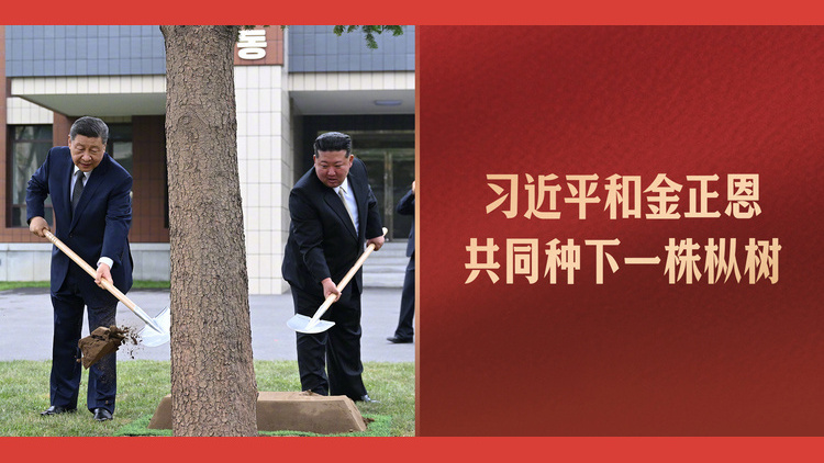 习近平和金正恩共同种下一株枞树