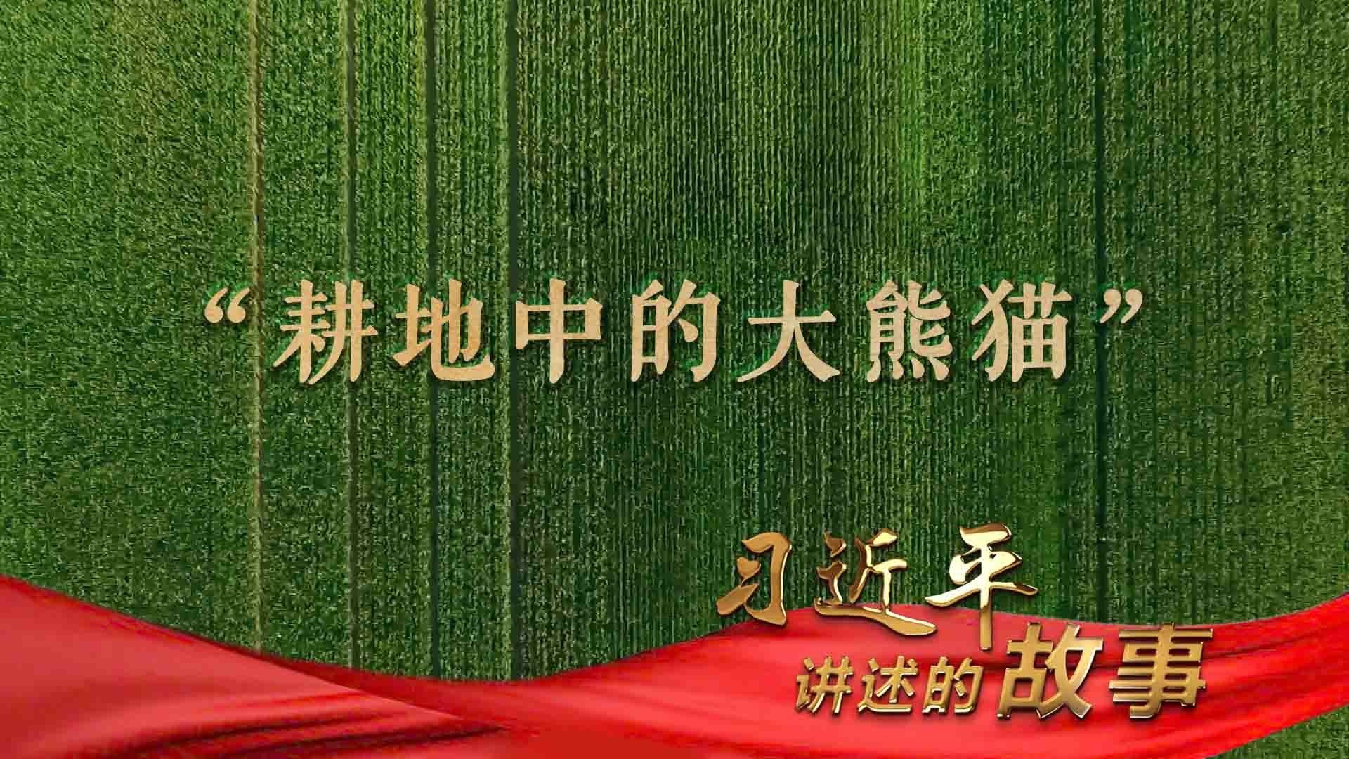 习近平讲述的故事｜“耕地中的大熊猫”