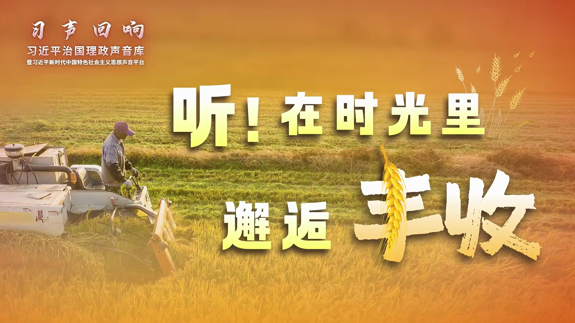 听！在时光里邂逅丰收