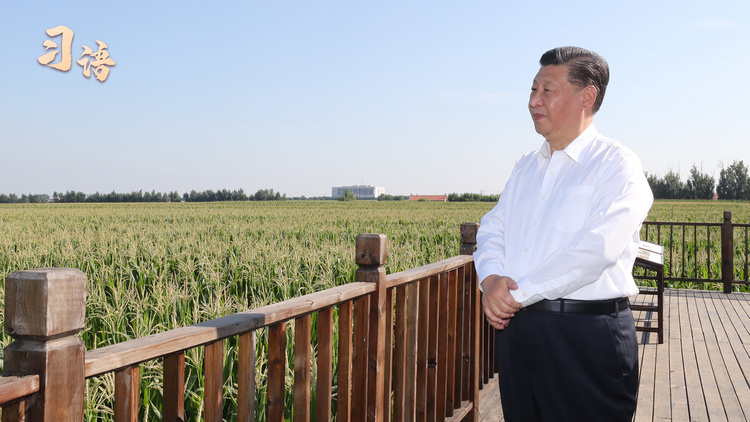 习语｜“中国的饭碗一定要端在自己的手里”