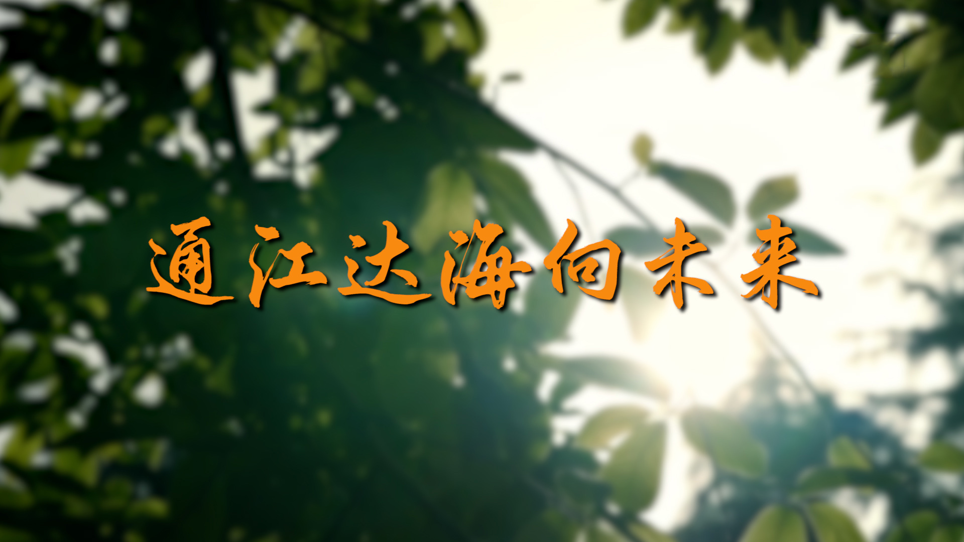 沿着总书记的足迹·上海篇：通江达海向未来