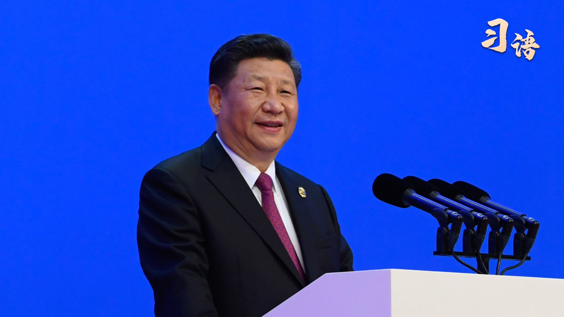 习语｜“只有坚持和平发展、携手合作，才能真正实现共赢、多赢”