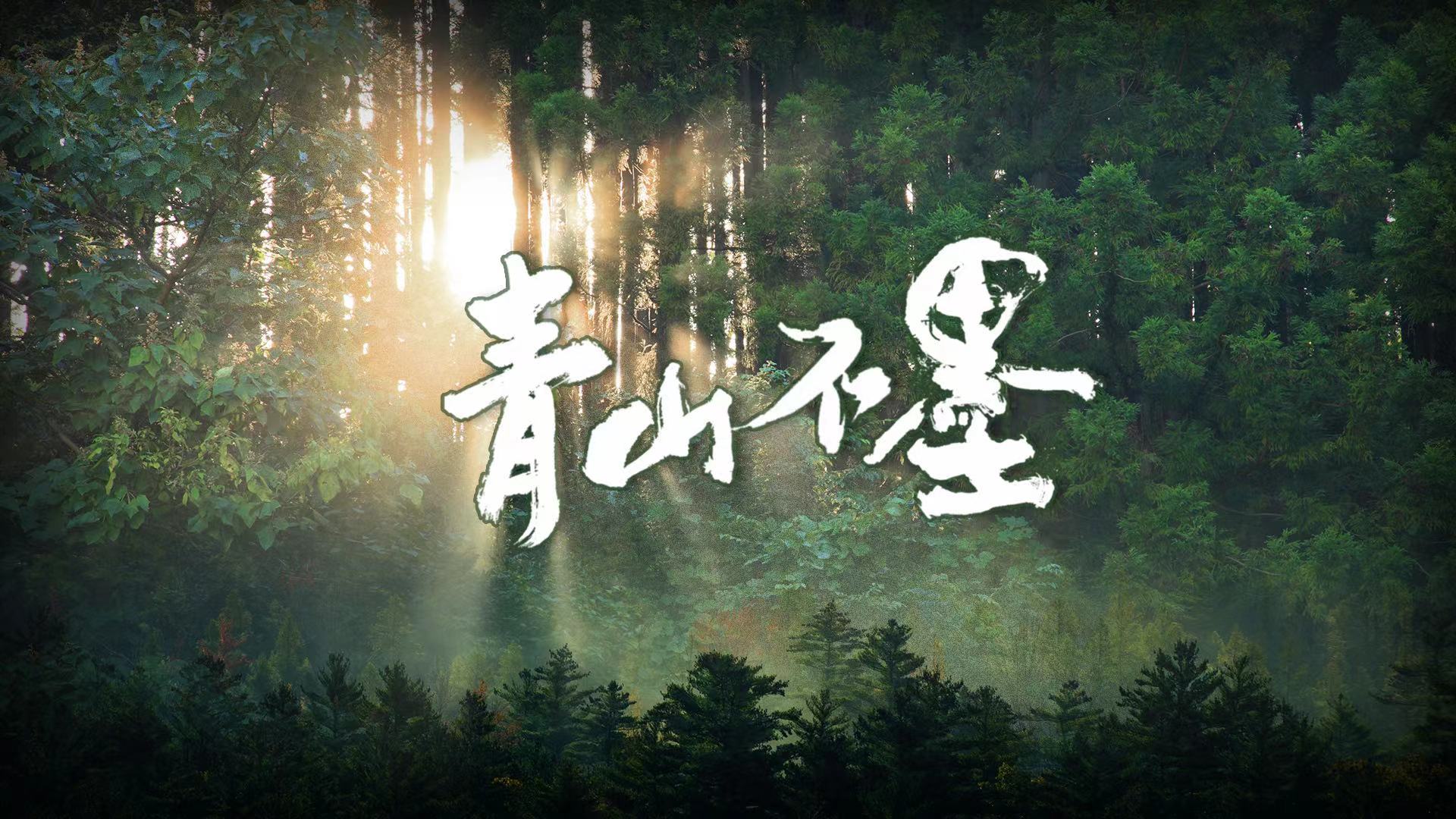青山不墨
