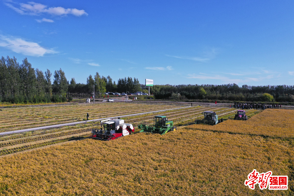 黑龙江省佳木斯市建三江北大荒七星农场场区技术人员在田间召开收割