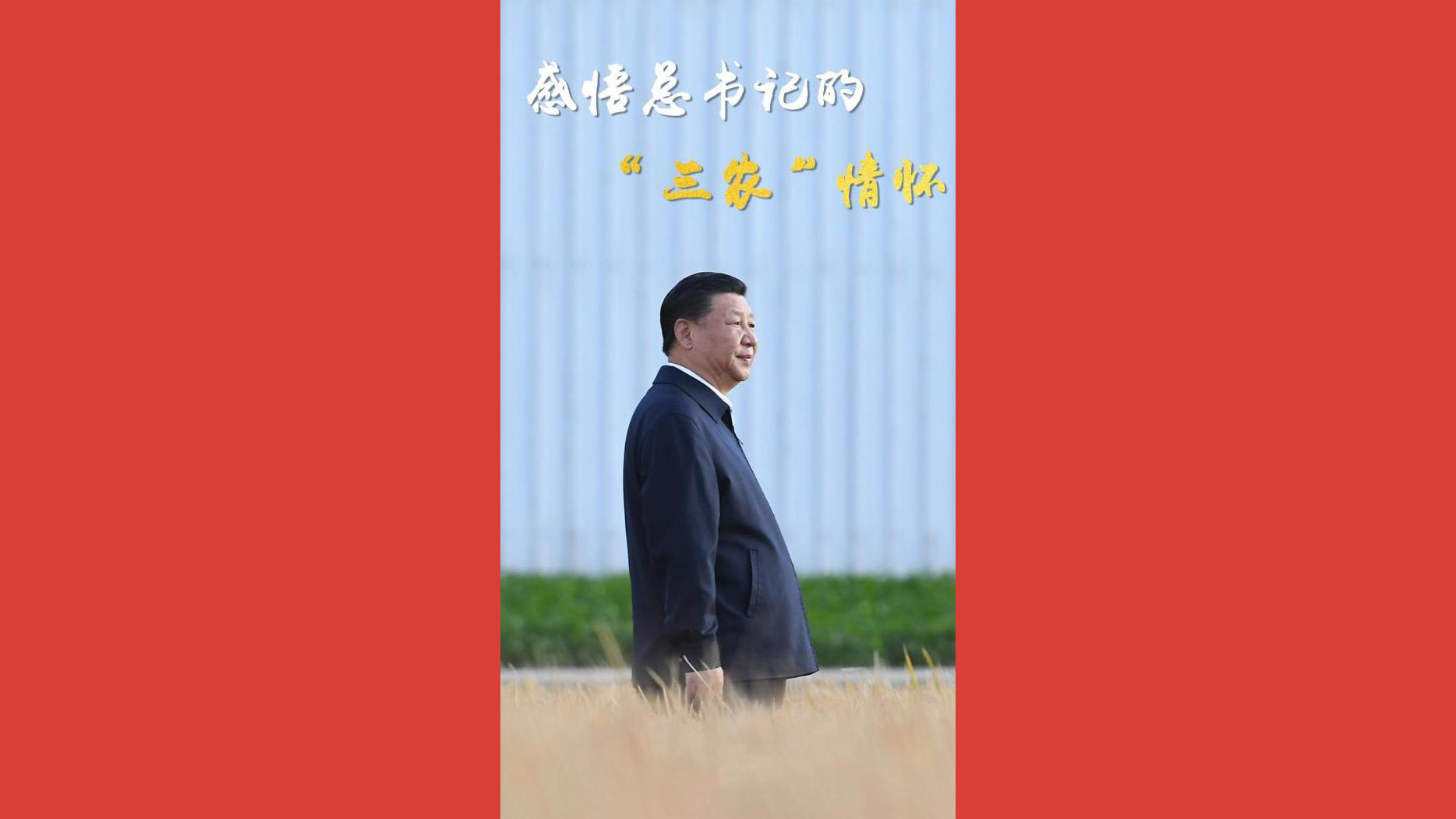 感悟总书记的“三农”情怀