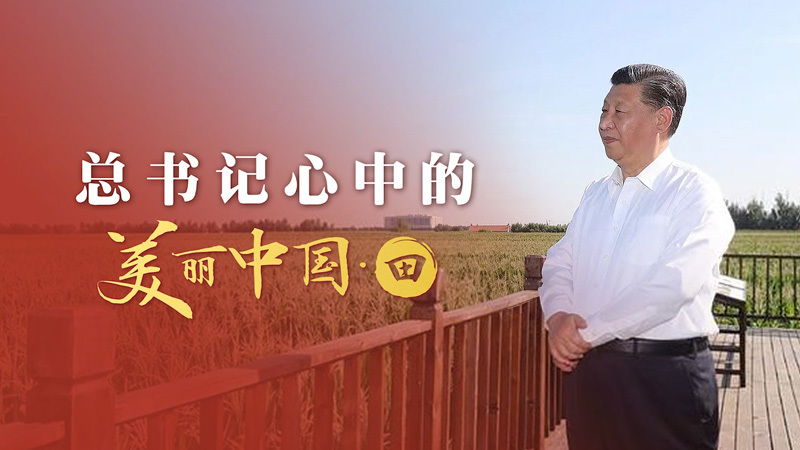 总书记心中的美丽中国·田：像保护大熊猫一样保护耕地