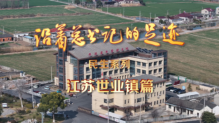 《沿着总书记的足迹·民生系列》江苏世业镇篇