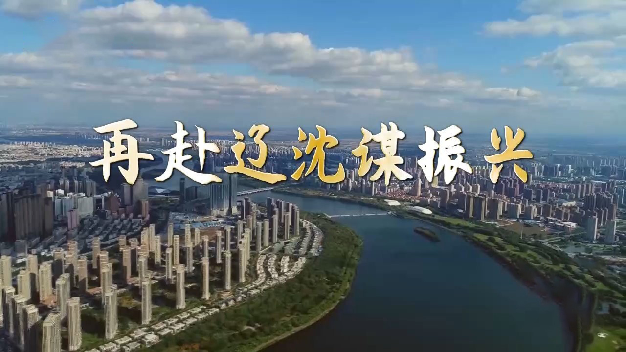 再赴辽沈谋振兴