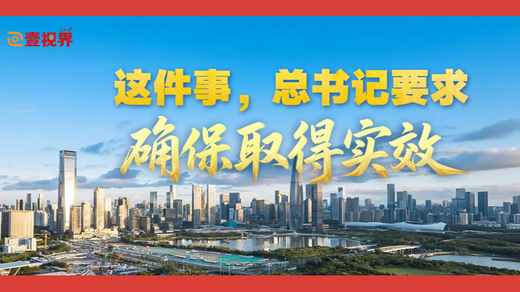 这件事，总书记要求确保取得实效