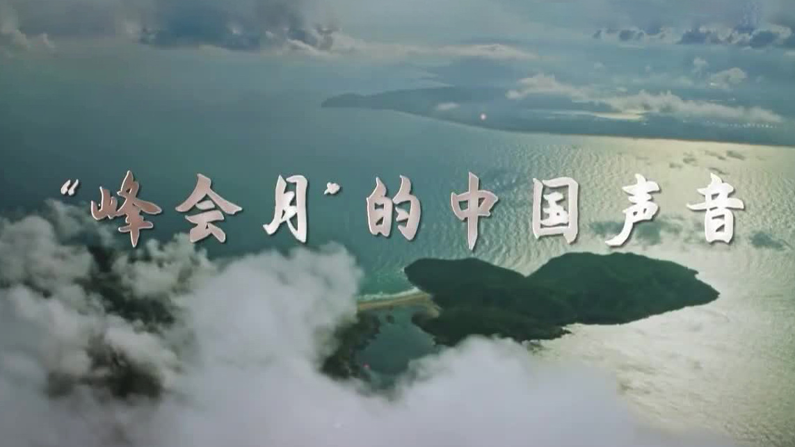 “峰会月”的中国声音