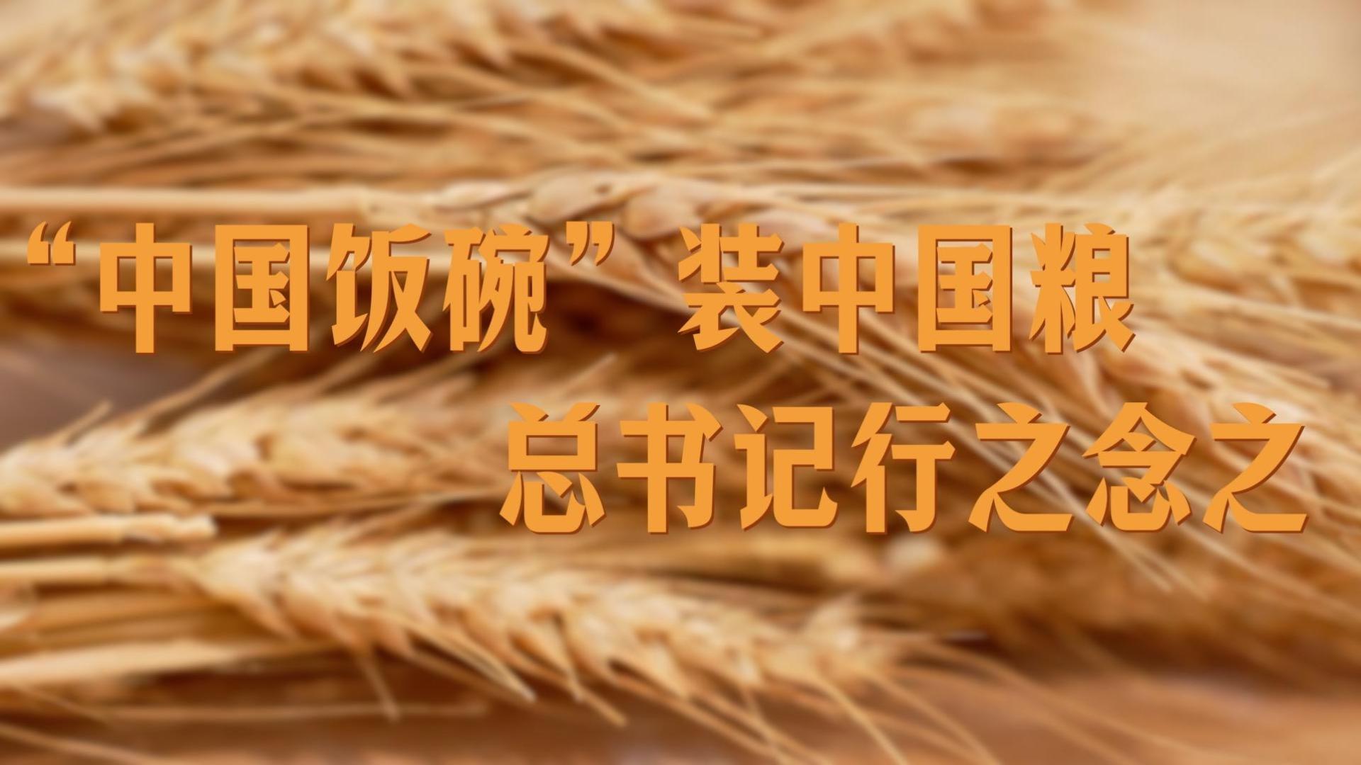 “中国饭碗”装中国粮，总书记行之念之