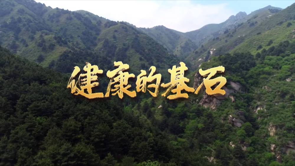 健康的基石