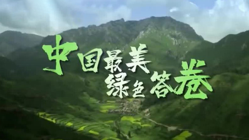 中国最美绿色答卷