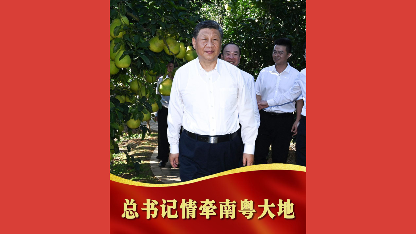 总书记情牵南粤大地