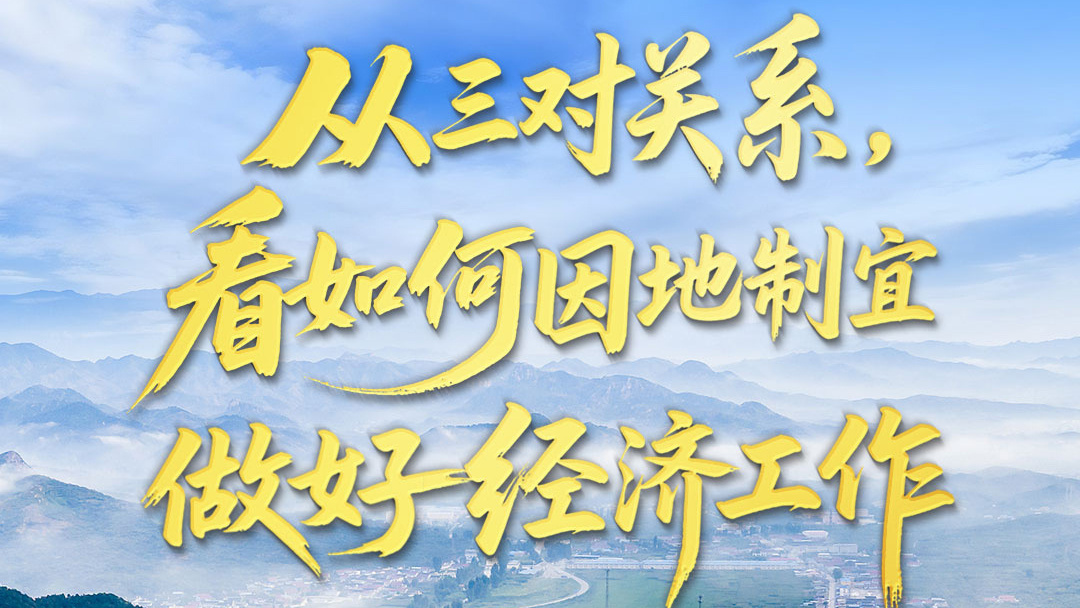 从三对关系，看如何因地制宜做好经济工作