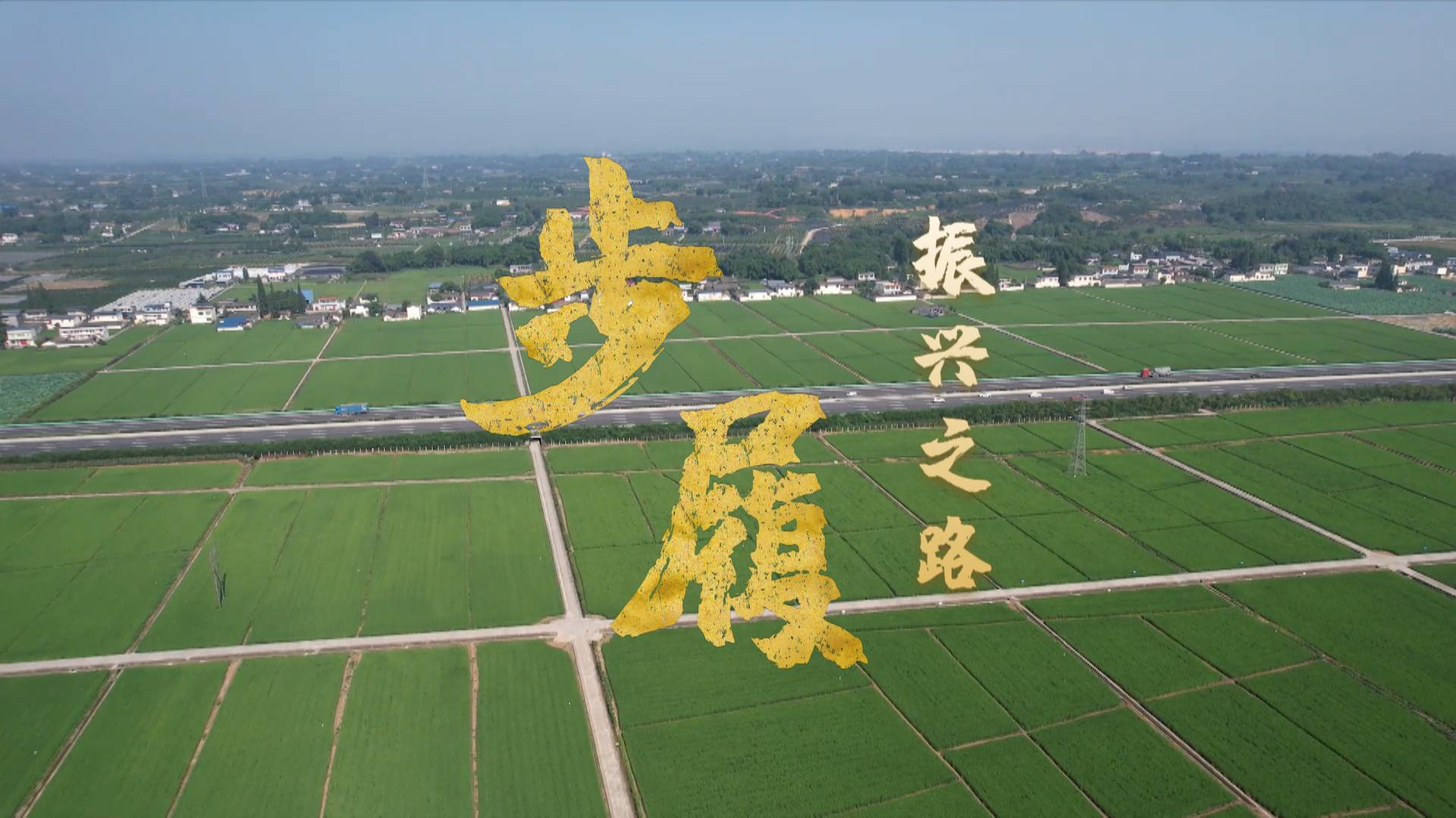 步履｜振兴之路