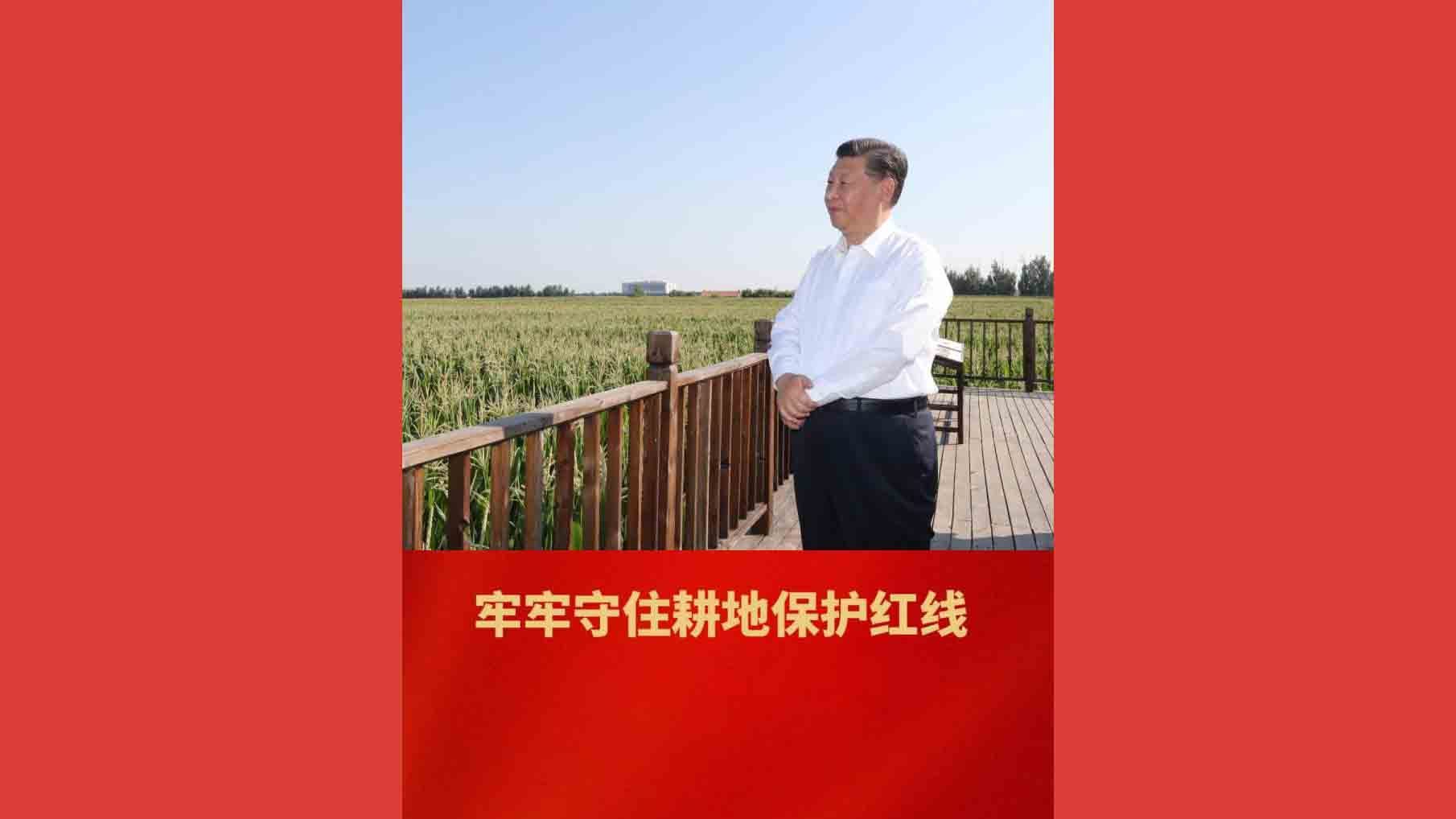 牢牢守住耕地保护红线