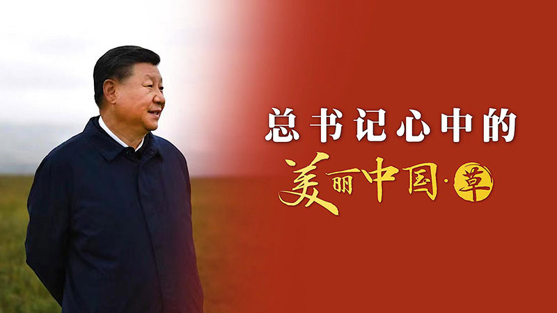 总书记心中的美丽中国·草：草木植成，国之富也