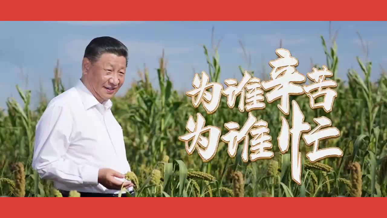 为谁辛苦为谁忙