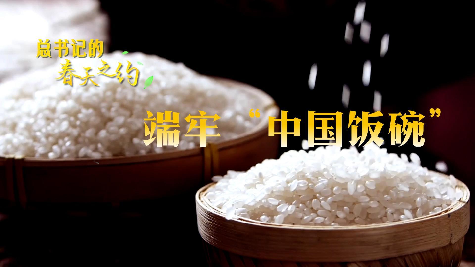 总书记的春天之约｜端牢“中国饭碗”