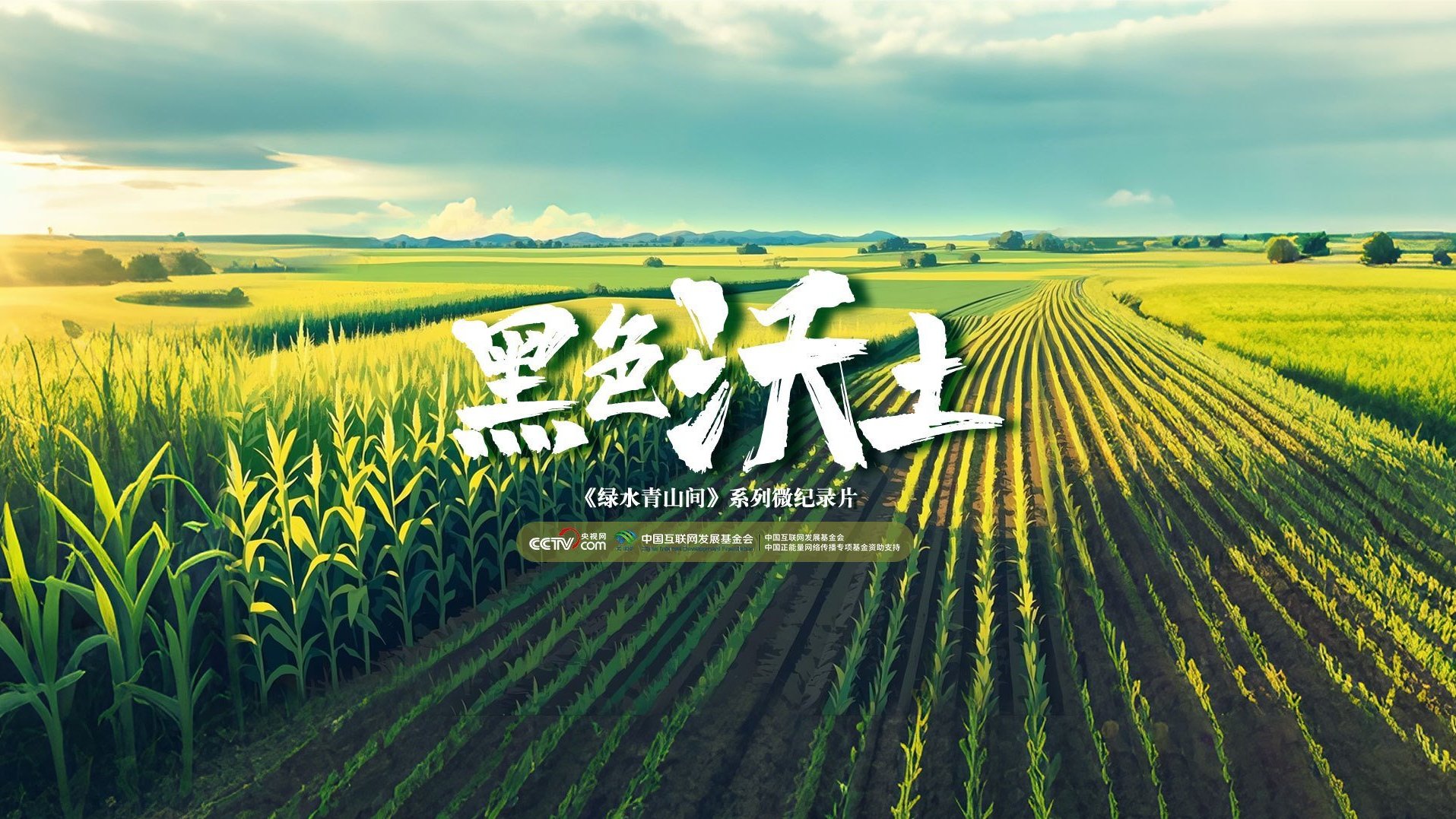 绿水青山间｜黑色沃土