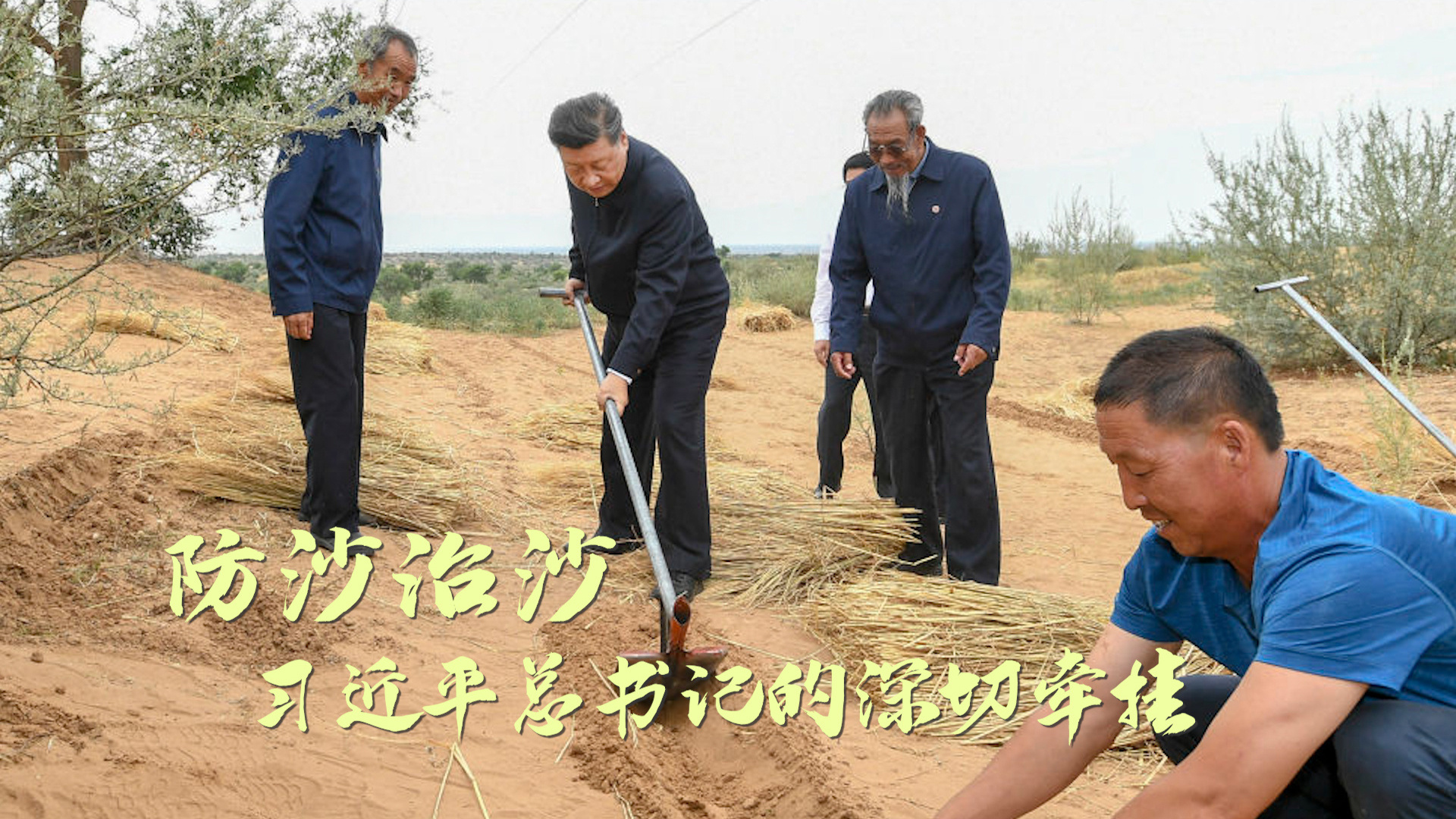 防沙治沙，习近平总书记的深切牵挂