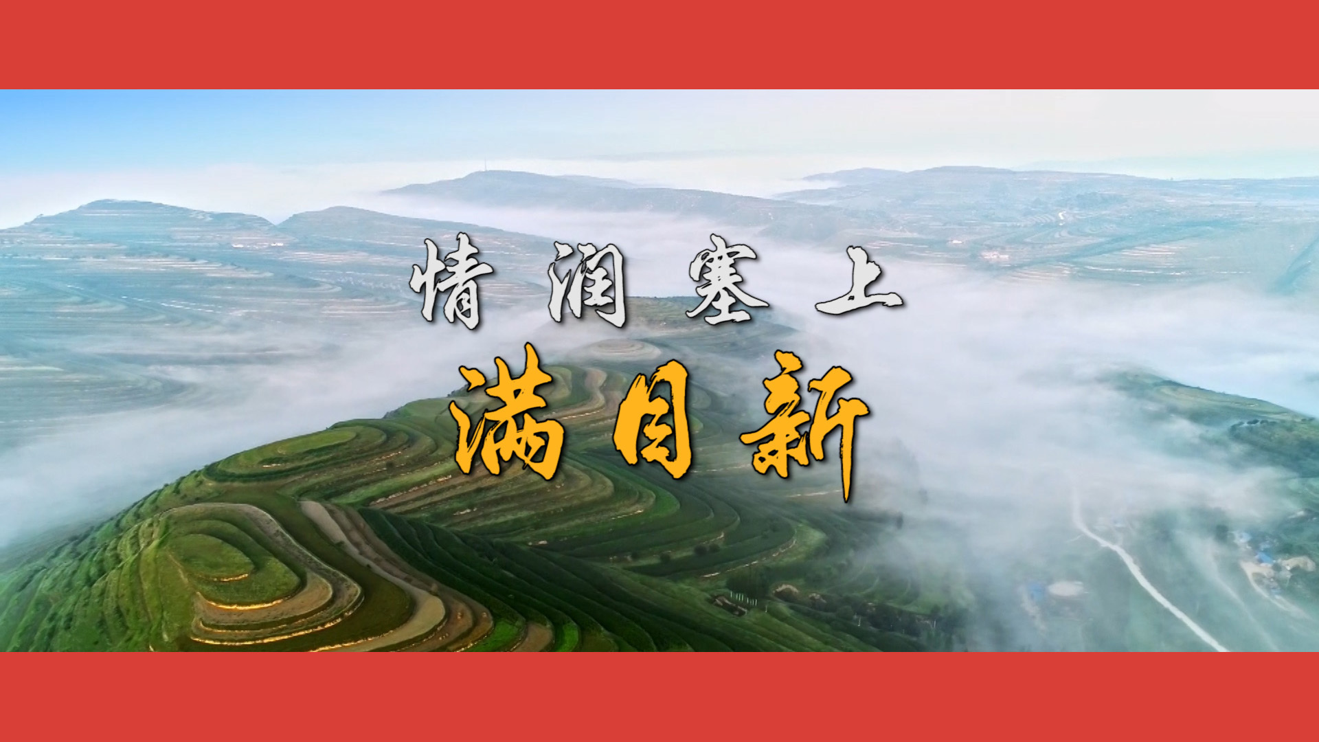 沿着总书记的足迹·宁夏篇：情润塞上满目新