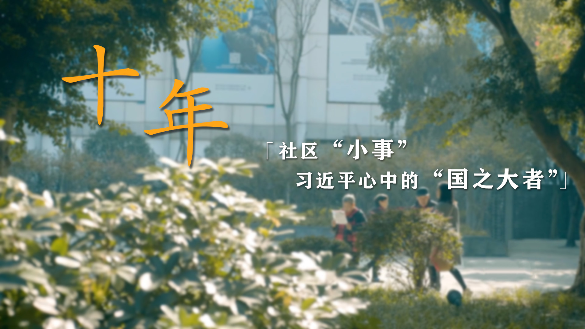 十年——社区“小事” 习近平心中的“国之大者”
