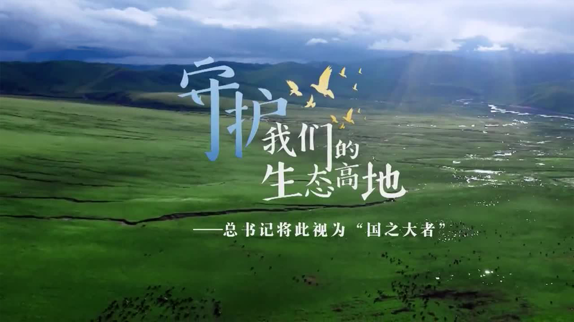 守护我们的生态高地——总书记将此视为“国之大者”