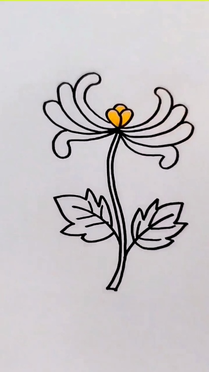 幼儿菊花画法图片