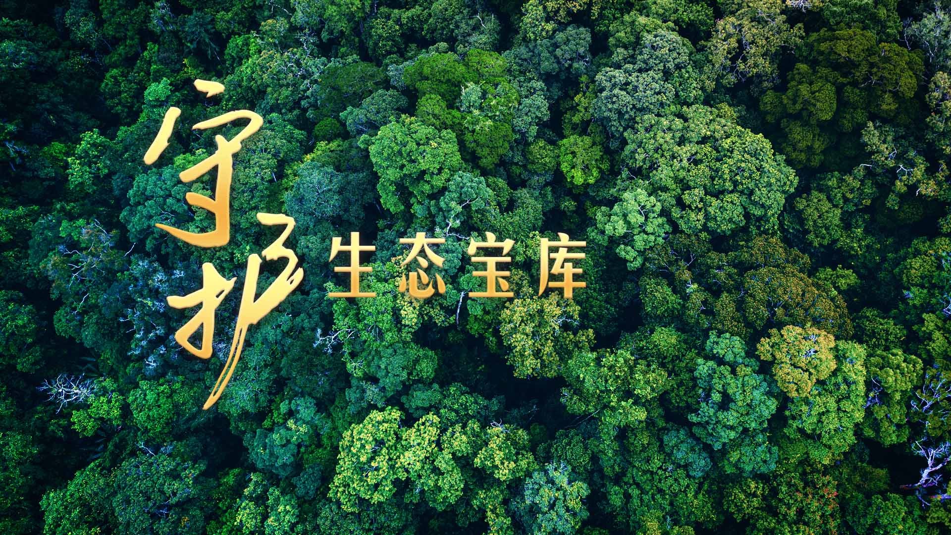 守护生态宝库