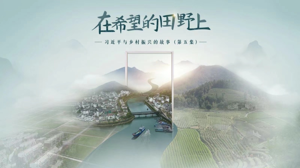 《习近平与乡村振兴的故事》第五集：在希望的田野上