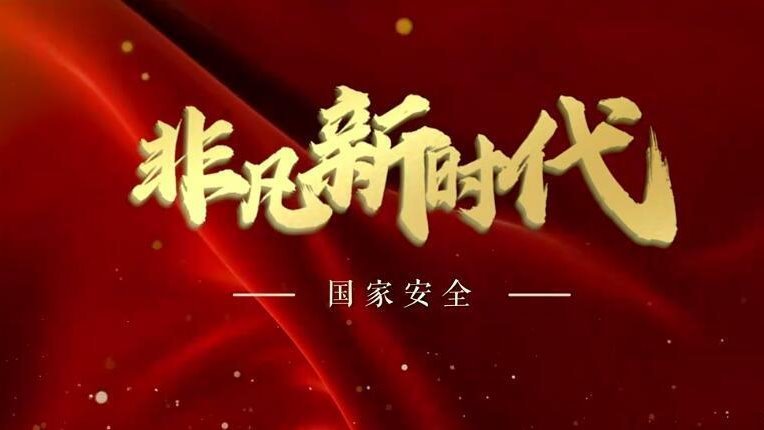 【非凡新时代】国家安全