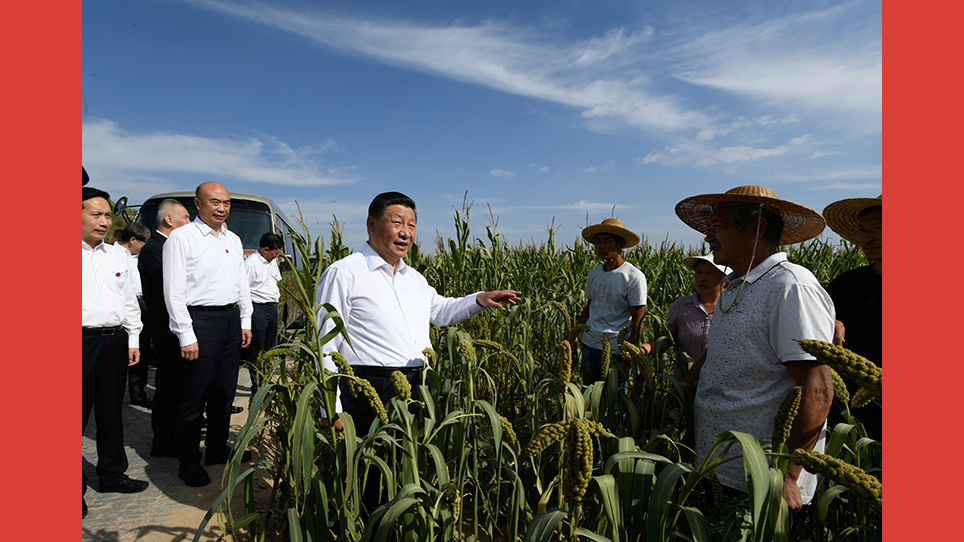 总书记的一周（9月13日—9月19日）