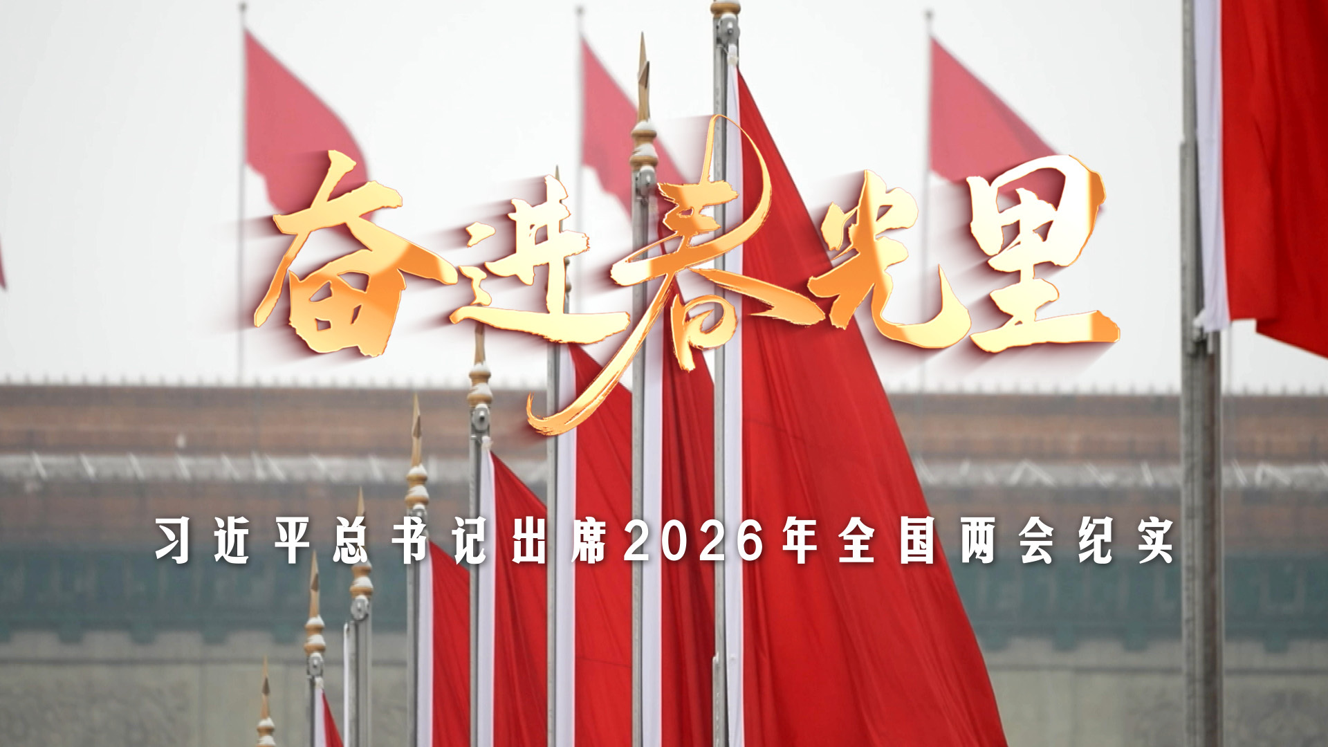 奋进春光里——习近平总书记出席2026年全国两会纪实