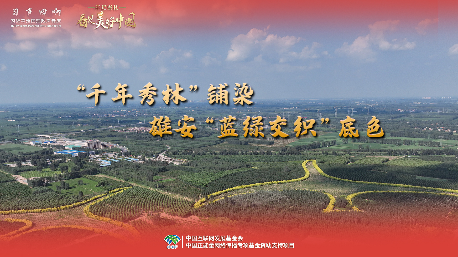 “千年秀林”铺染雄安“蓝绿交织”底色