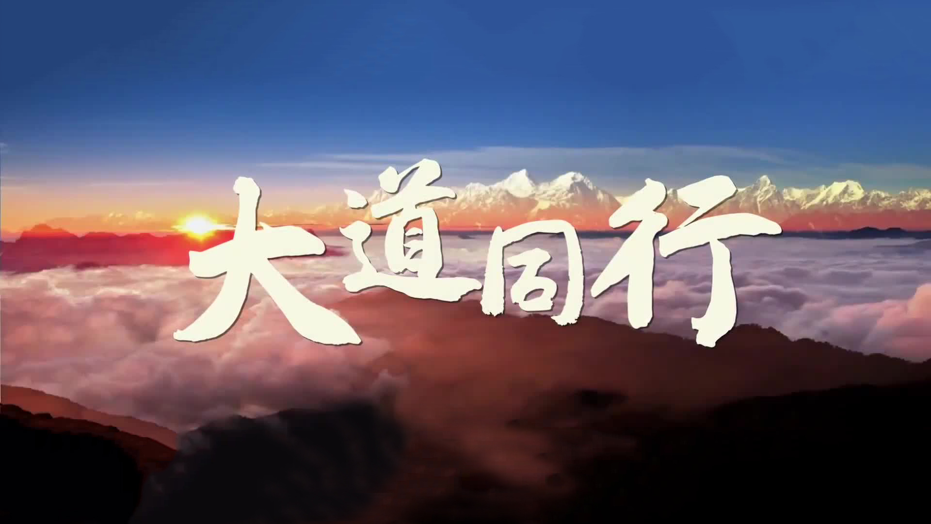 大道同行