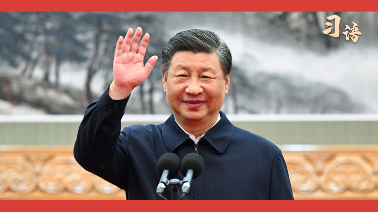 习语｜“旅途顺利，平安回家，开心过年”