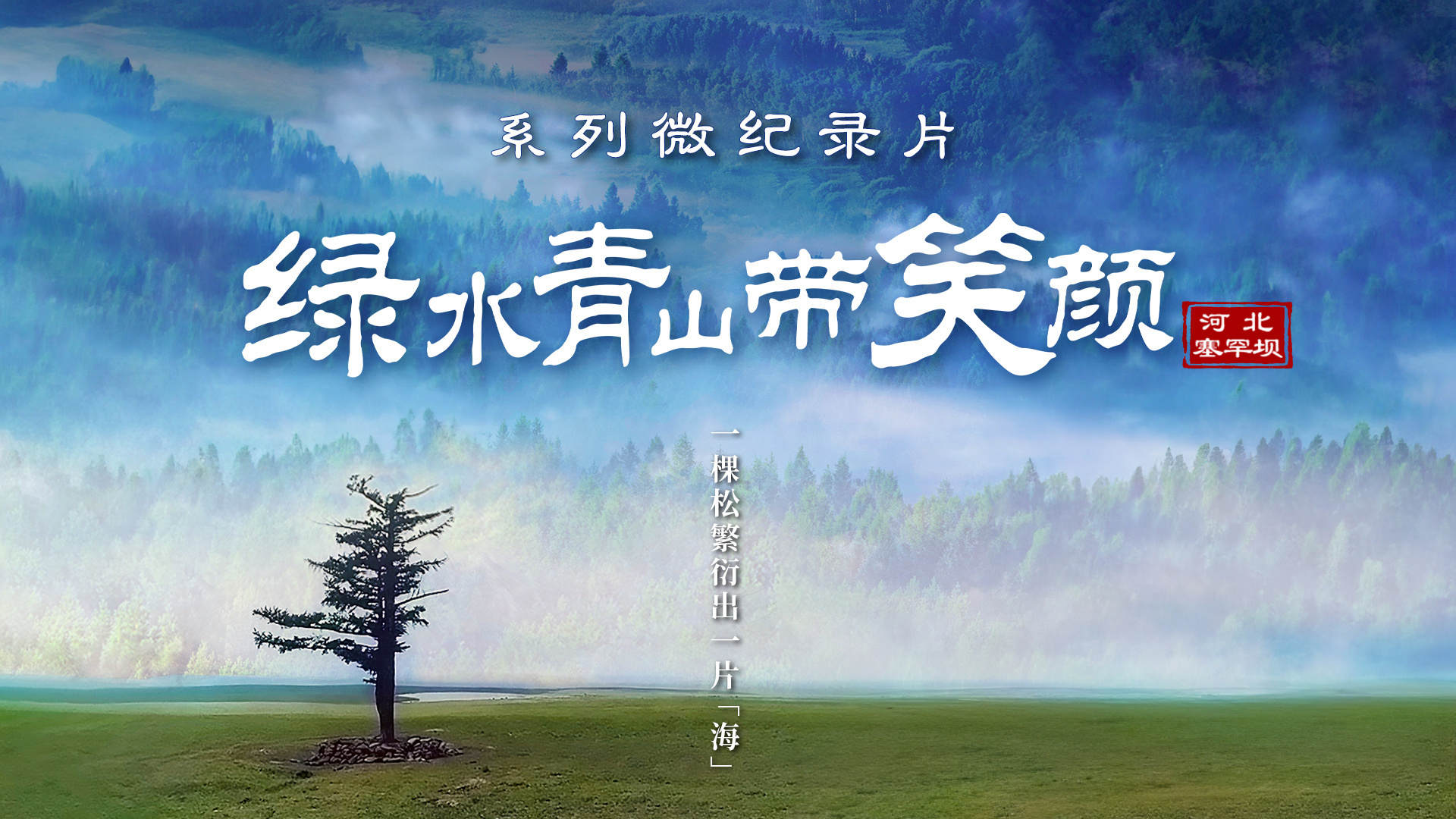 绿水青山带笑颜|一棵松繁衍出一片“海”