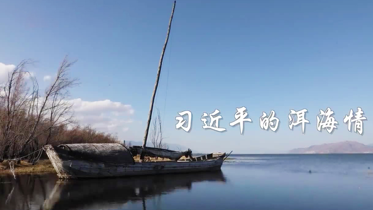习近平的洱海情