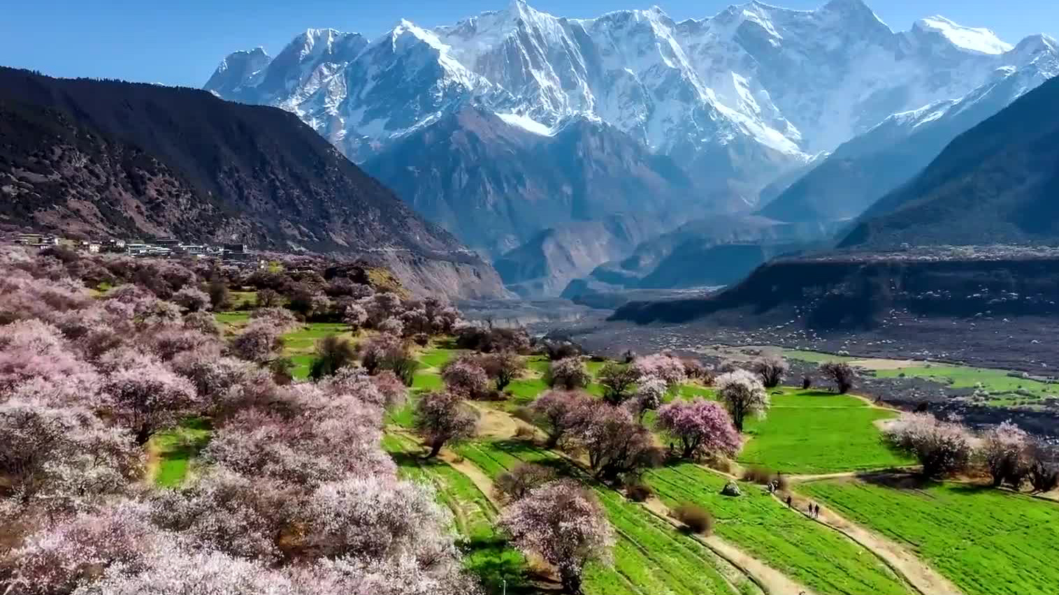 美丽中国，绿色答卷