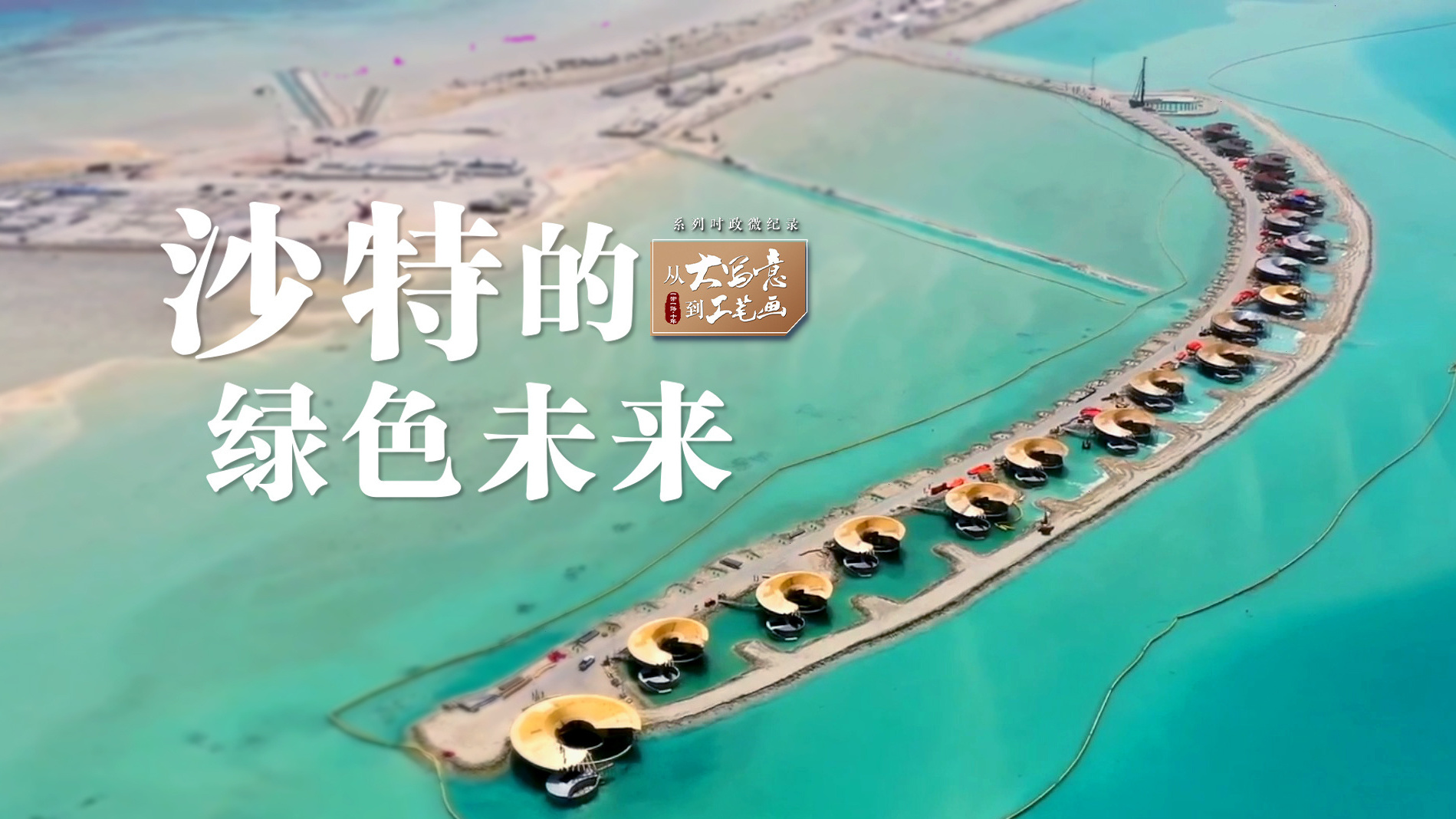 从“大写意”到“工笔画”｜沙特的绿色未来