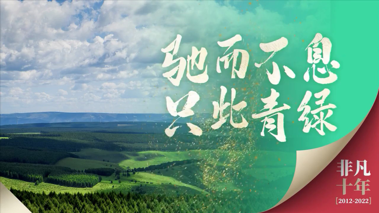 驰而不息 只此青绿