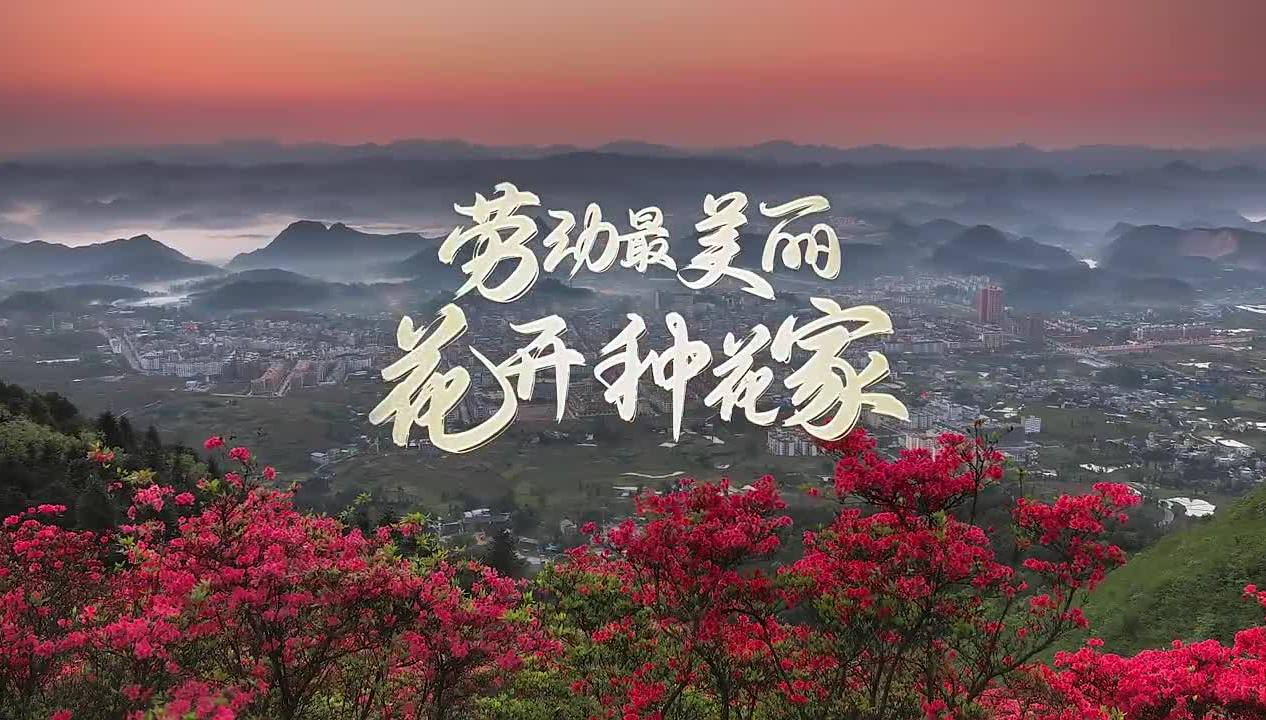 960万km²！花开种花家
