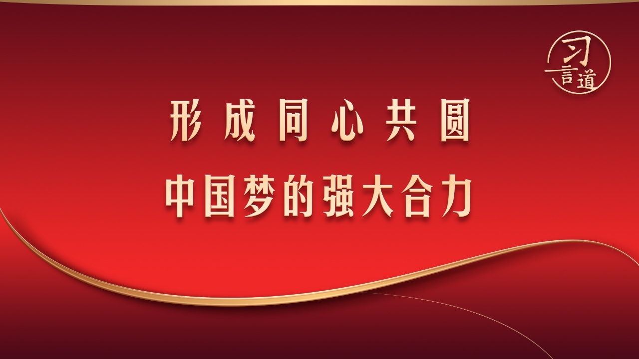 “形成同心共圆中国梦的强大合力”