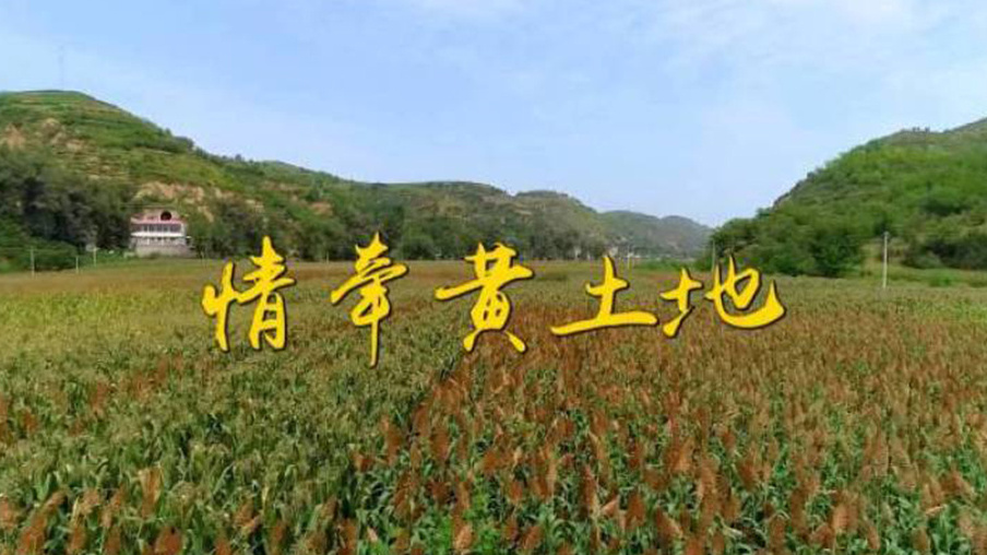 情牵黄土地